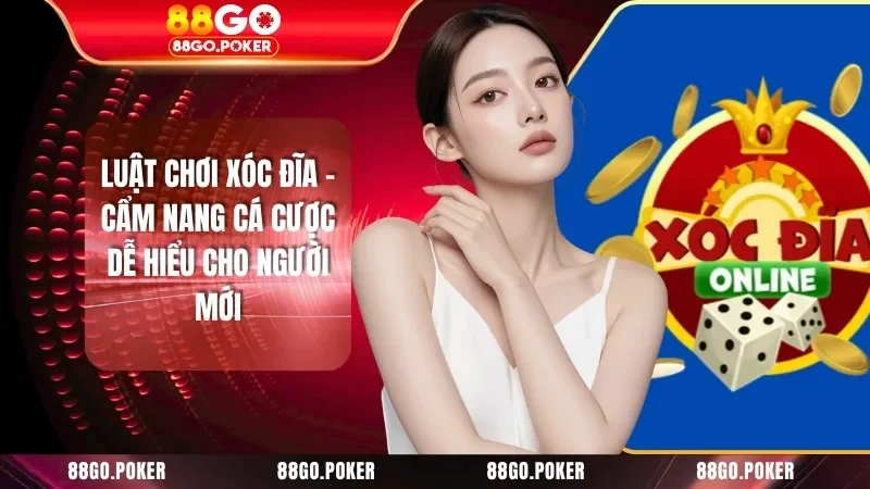 Luật Chơi Xóc Đĩa - Cẩm Nang Cá Cược Dễ Hiểu Cho Người Mới